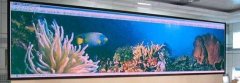 LED顯示屏和LED燈的區別在哪里？